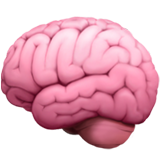 brain